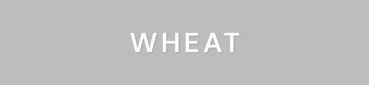 Wheat Padded Jacket - Gael - Soil Melange » ASAP Shipping