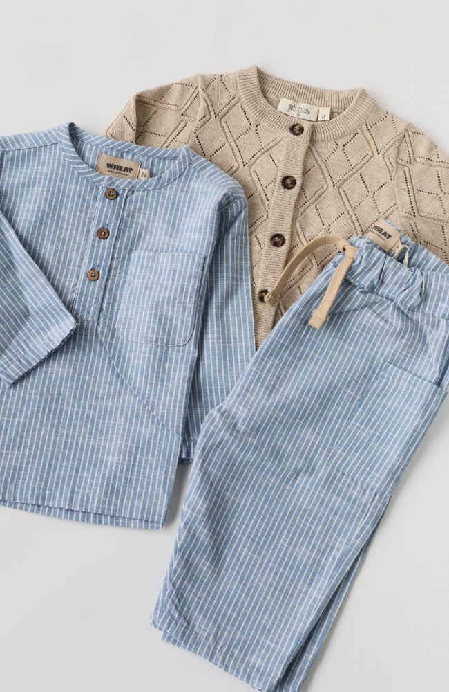 Trousers Arne - Blue Stripe