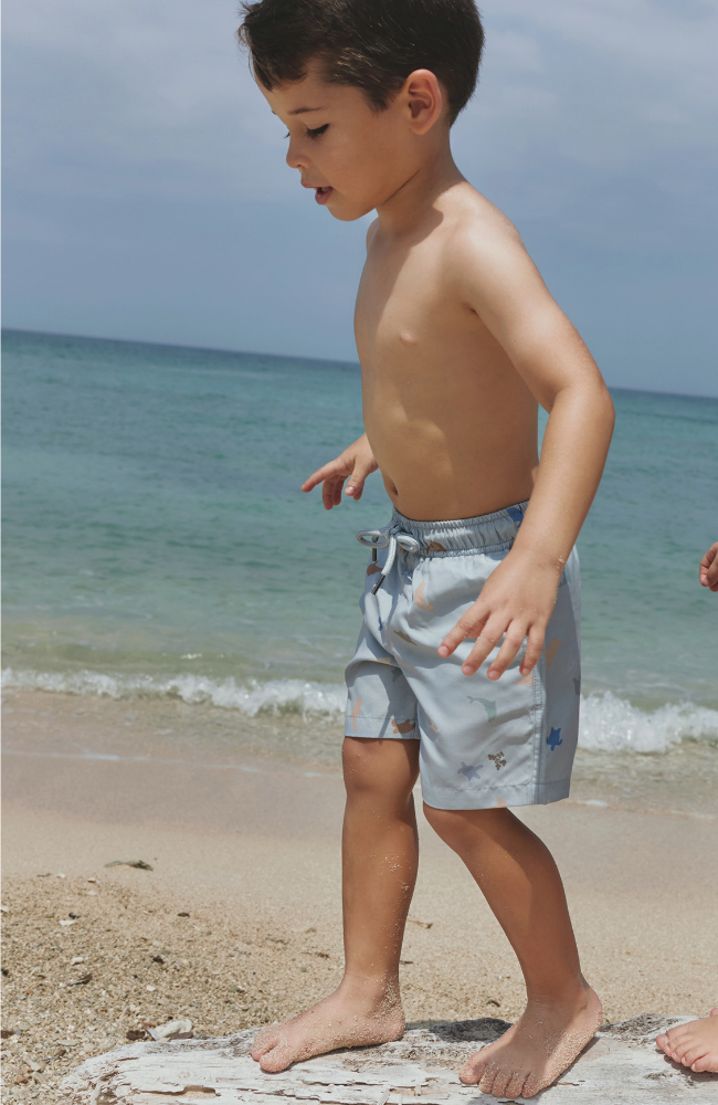 Swim Trunk Hansi - Blue Swim Stripe