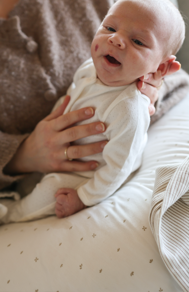 Nursing Pillow Cover - Soft AOP