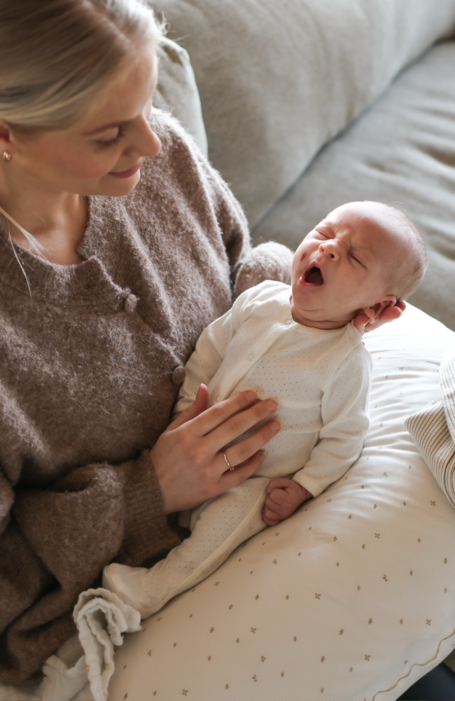 Nursing Pillow Cover - Soft AOP