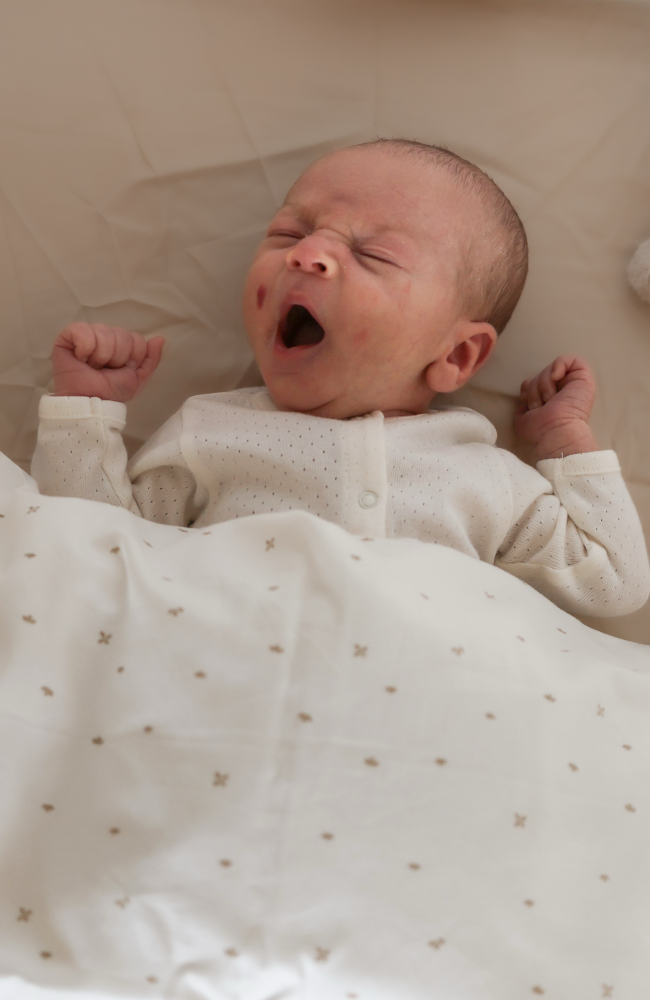 Bed Sheet - Oat
