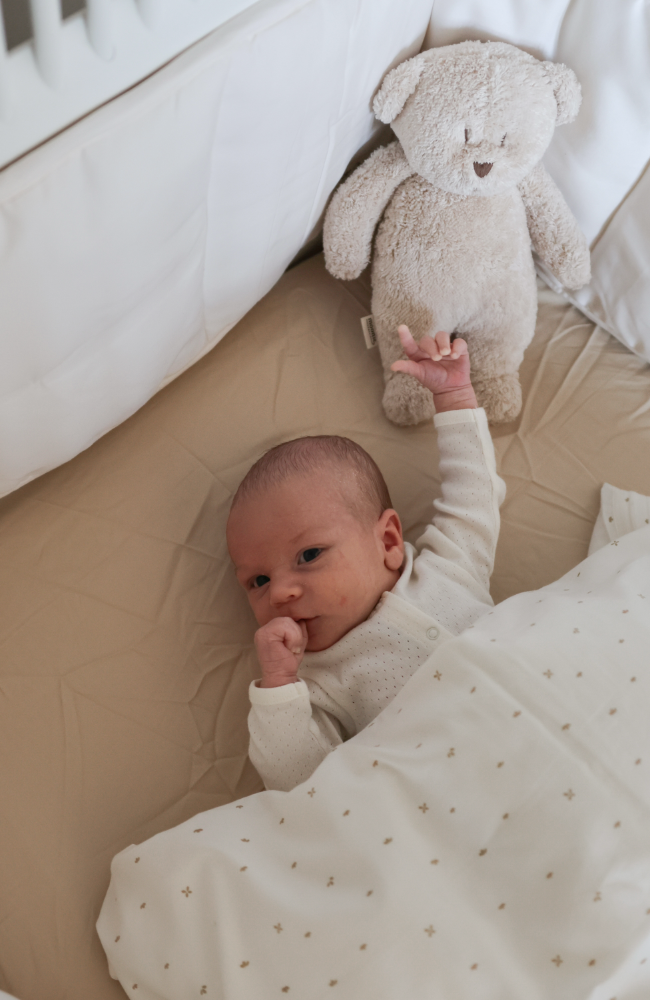 Bed Sheet - Oat