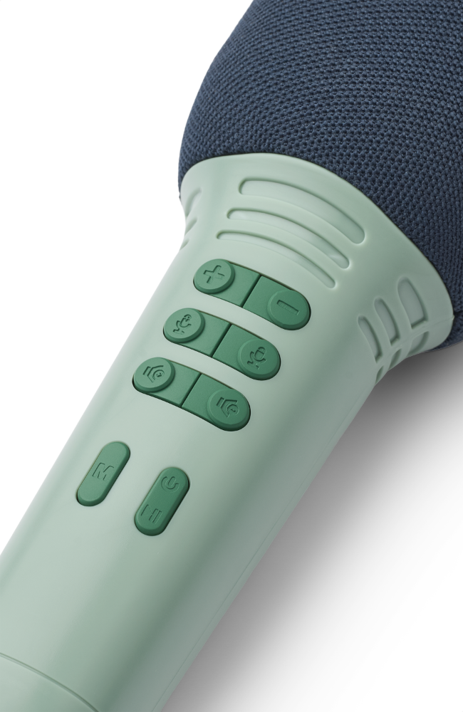 Beinta Karaoke Microphone - Peppermint Mix