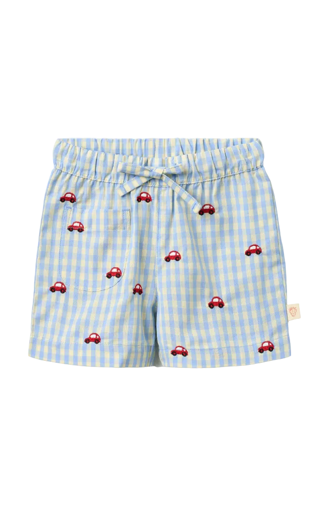 Albert Shorts - Blue Gingham