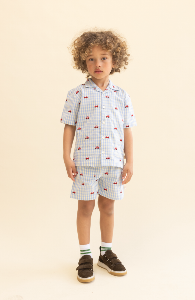 Albert Shirt - Blue Gingham