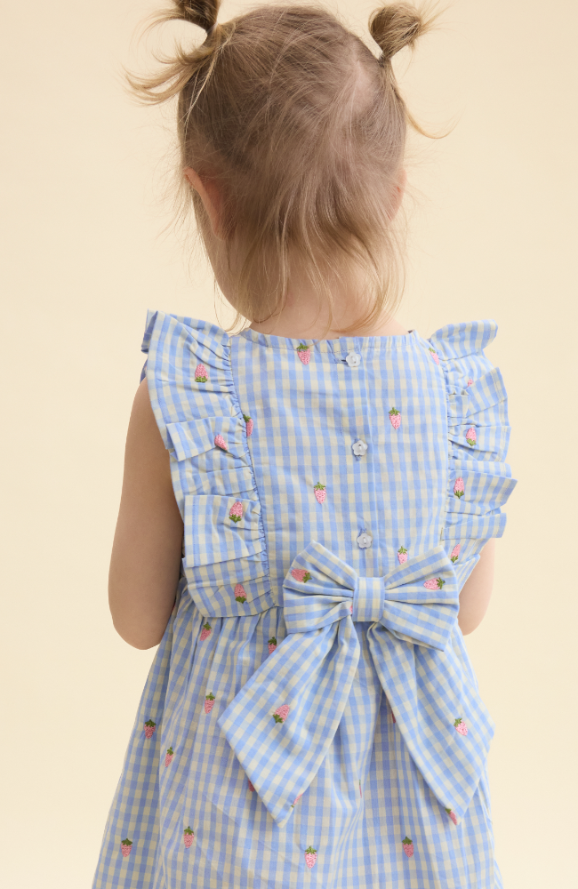 Mille SL Dress - Sky Berry Gingham