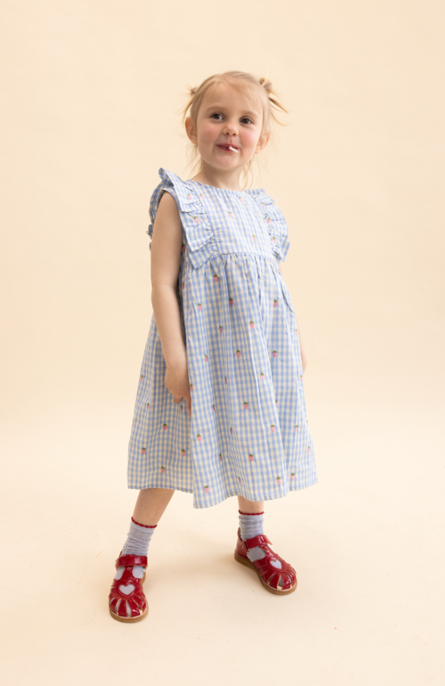 Mille SL Dress - Sky Berry Gingham
