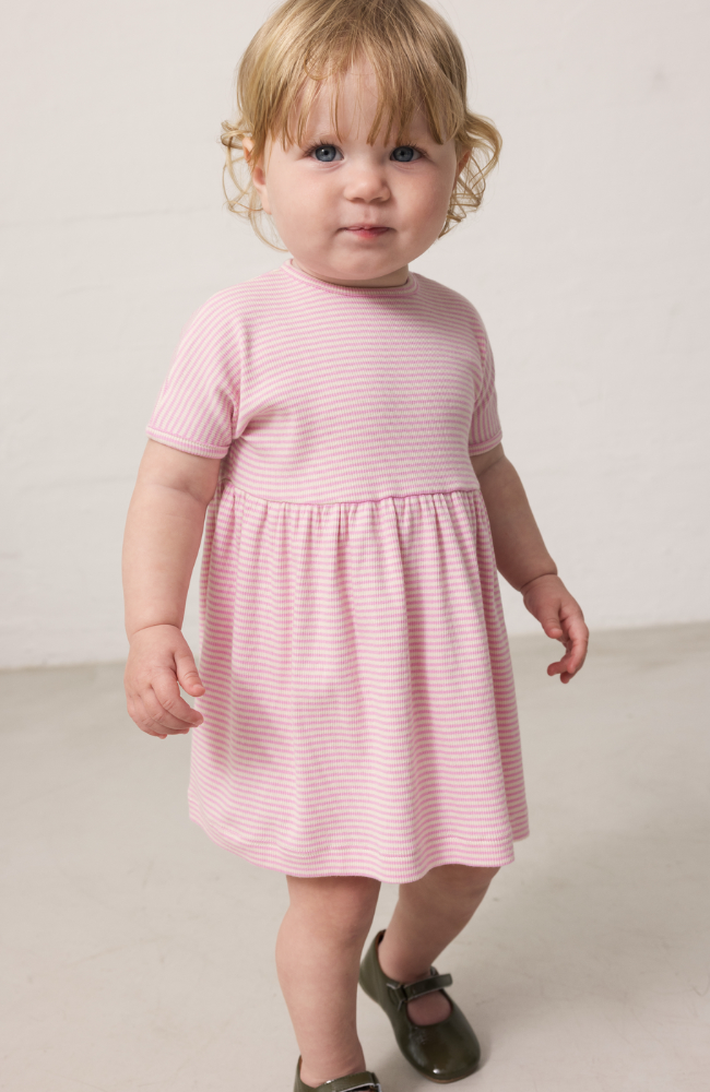 Dioa Dress - Pink Stripe
