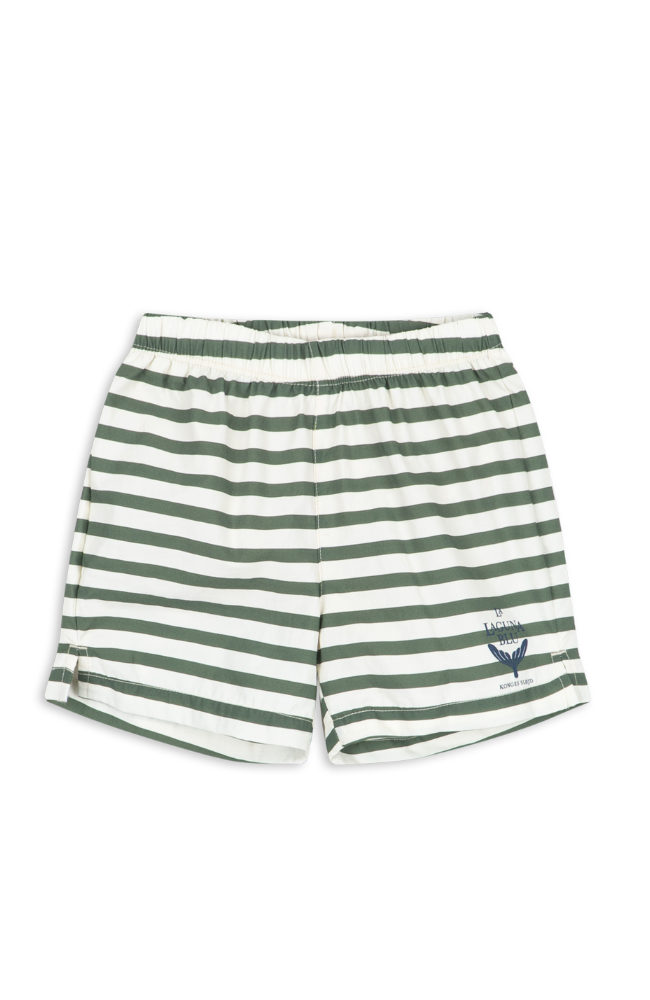Asnou Swim Shorts - Stripe Verti