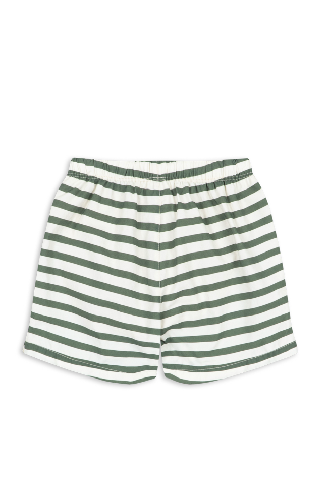 Asnou Swim Shorts - Stripe Verti