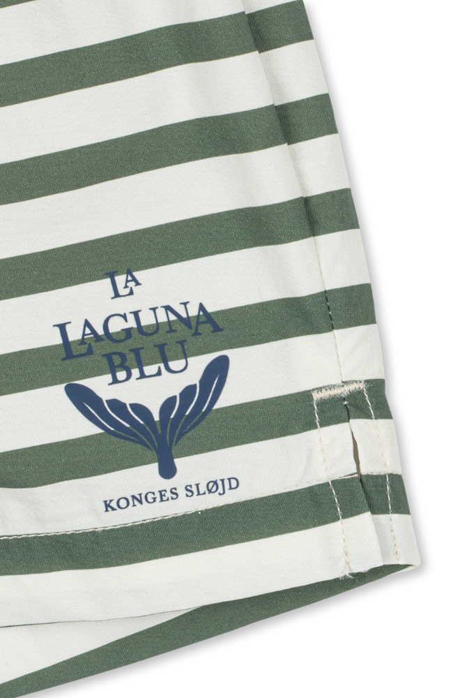 Asnou Swim Shorts - Stripe Verti