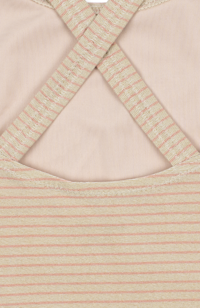 Jade Swimsuit - Rose Stripe