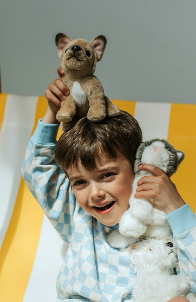 Philippe the French Bulldog 17cm