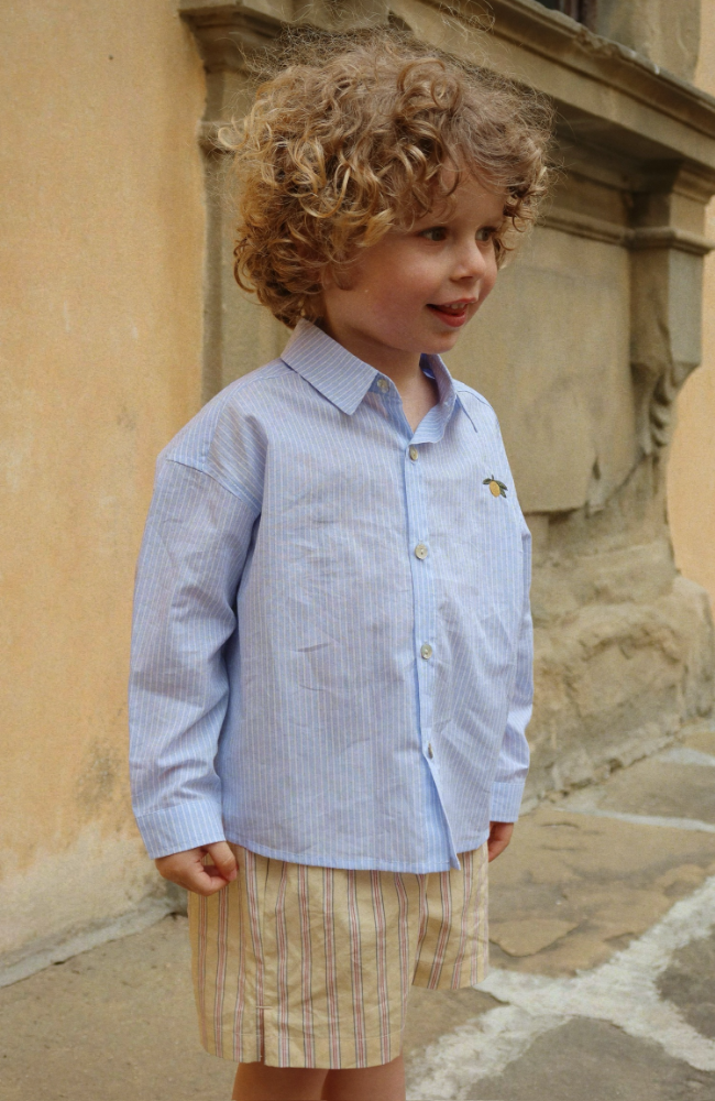 Wes Shirt - Blue Stripe