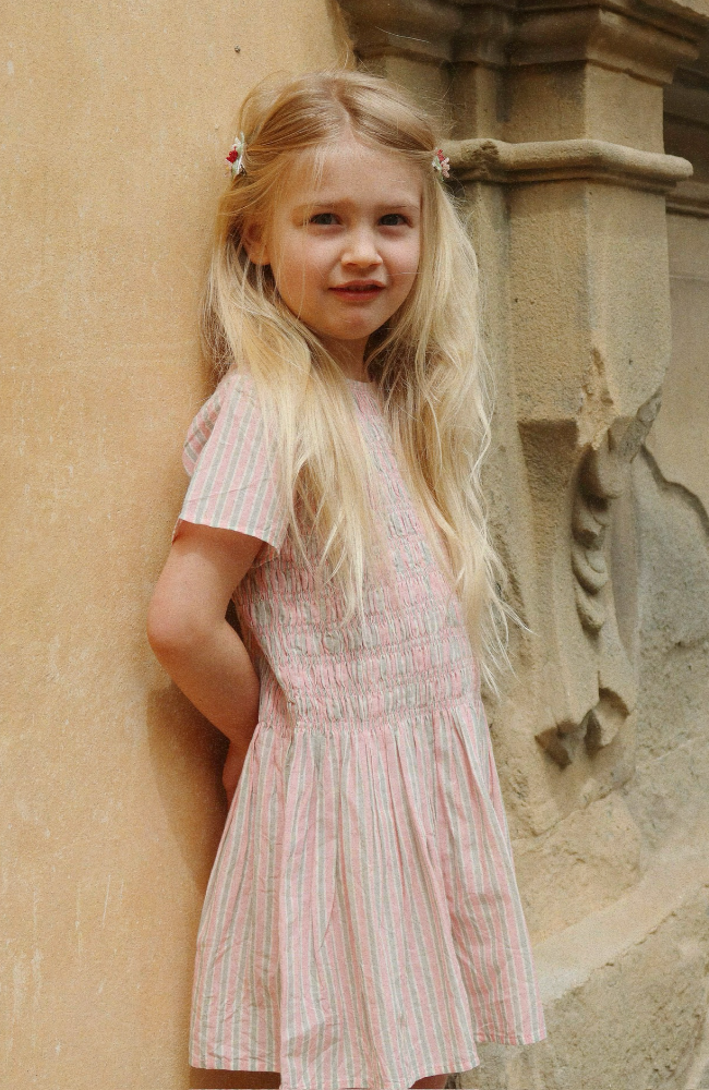 Luli Dress - Blush Stripe