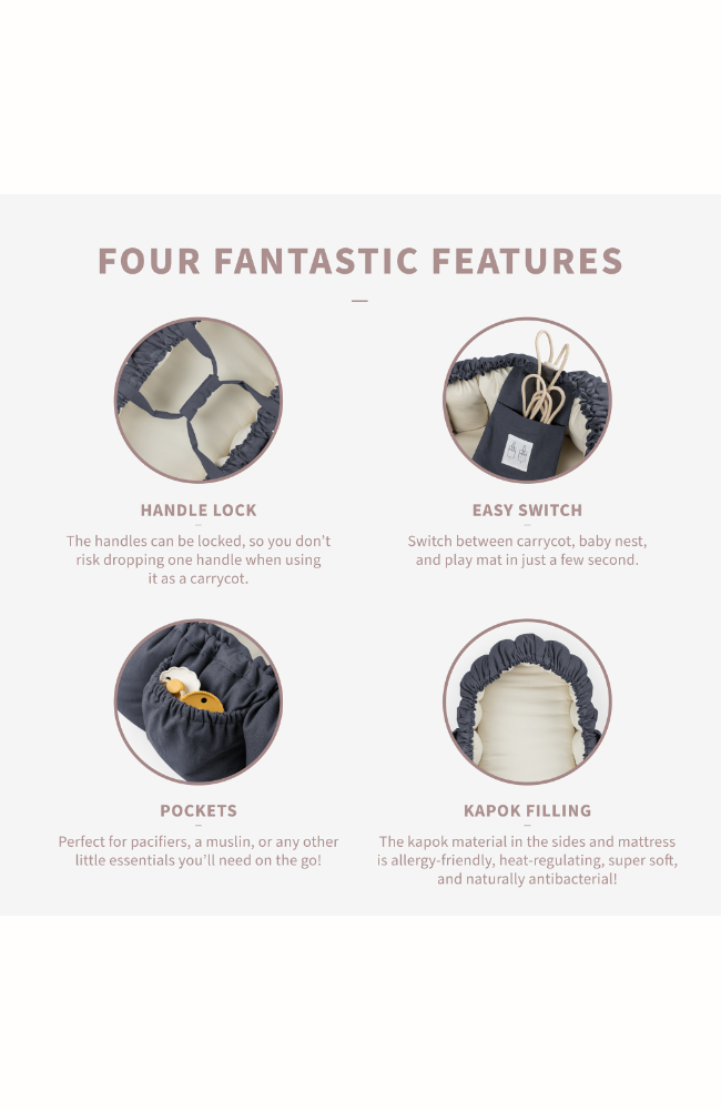 Zebra 3-in-1 Baby Nest - Blue