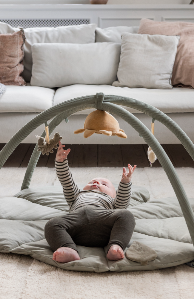 Woodland - Baby Gym