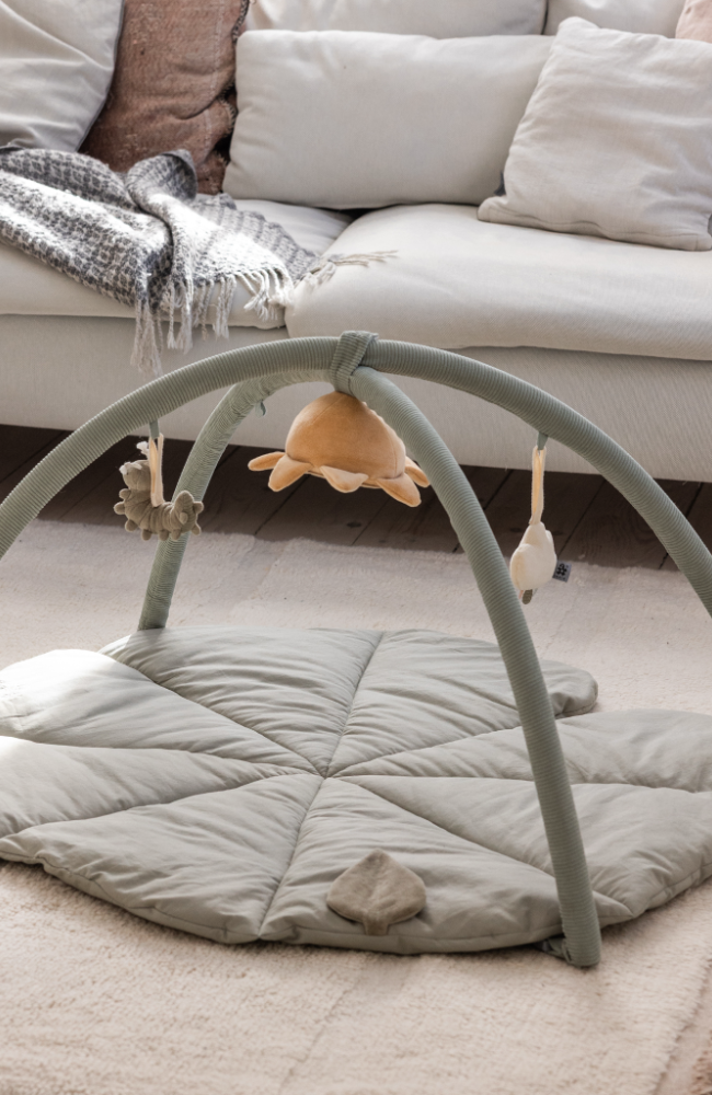 Woodland - Baby Gym