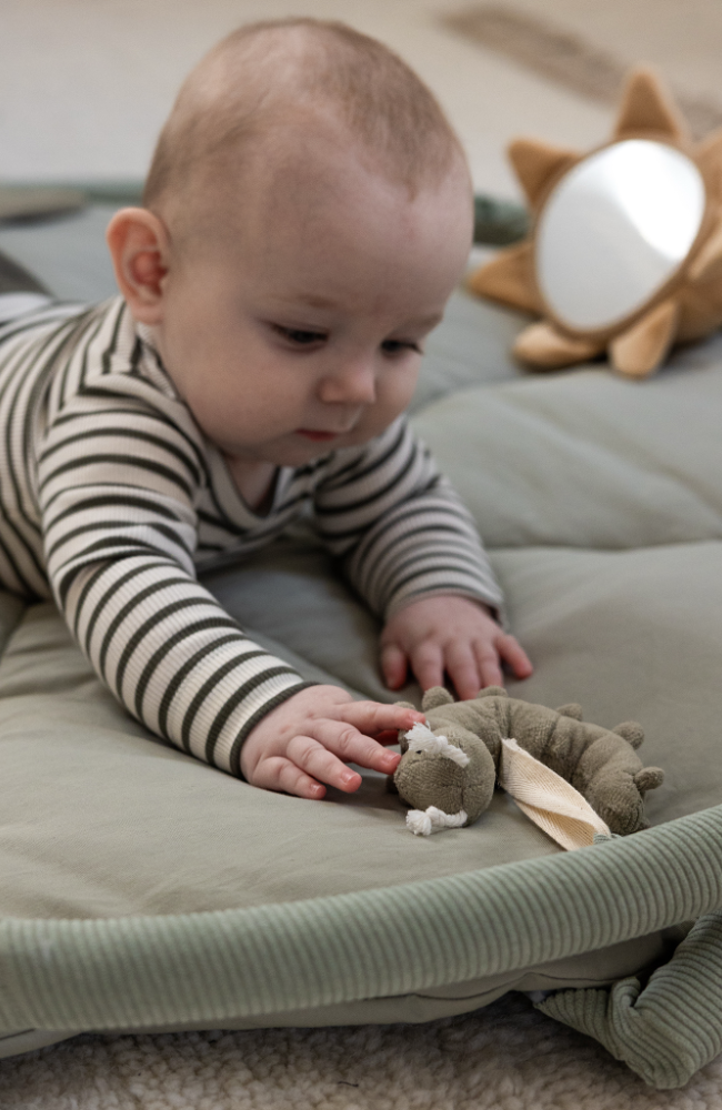 Woodland - Baby Gym