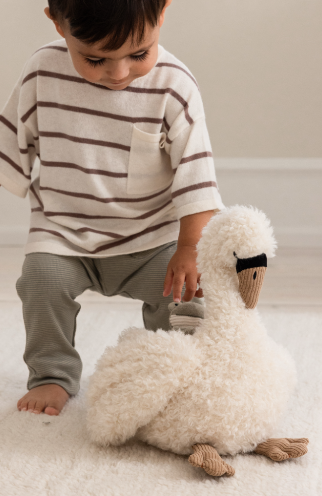 Activity Soft Toy - Swan