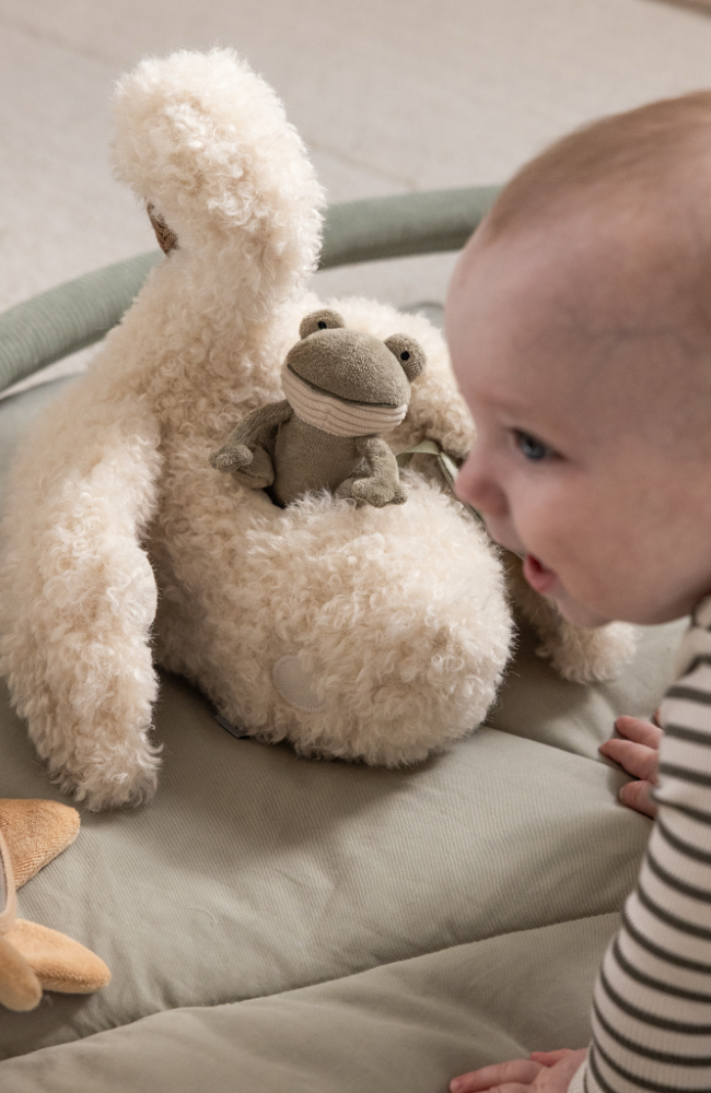 Activity Soft Toy - Swan