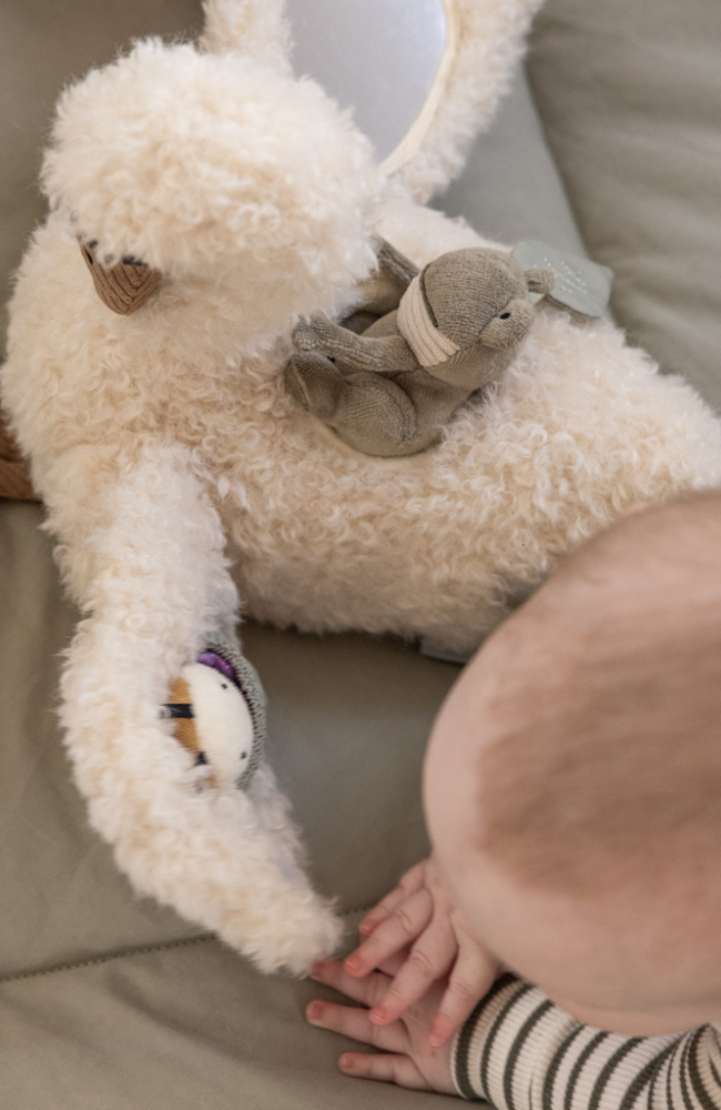 Activity Soft Toy - Swan