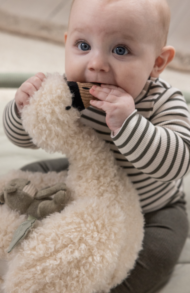 Activity Soft Toy - Swan