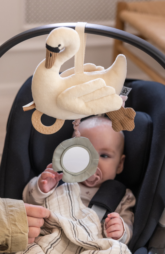 Activity Hanging Toy - Swan