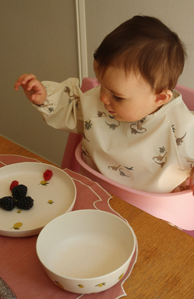 2 Pack Dinner Bib w/ Sleeves - Kubi / Rain Forest