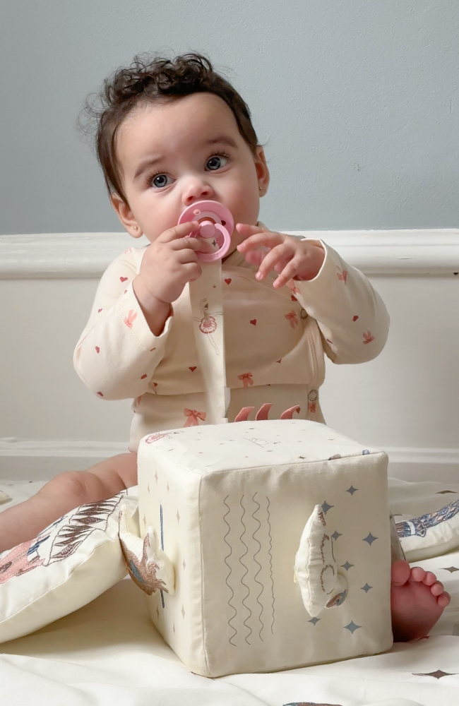 Activity Cube - Carousel