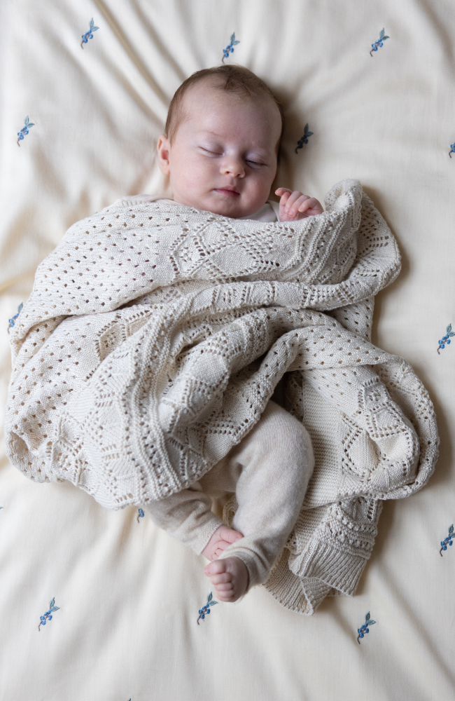 Embroidered Baby Bedding - Blueberries