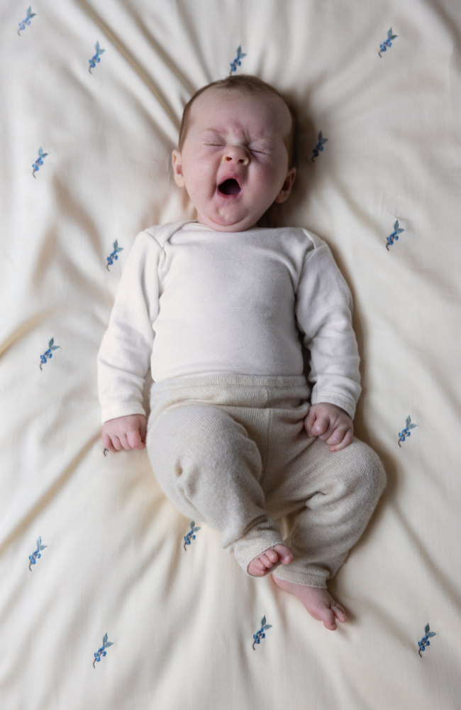 Embroidered Baby Bedding - Blueberries