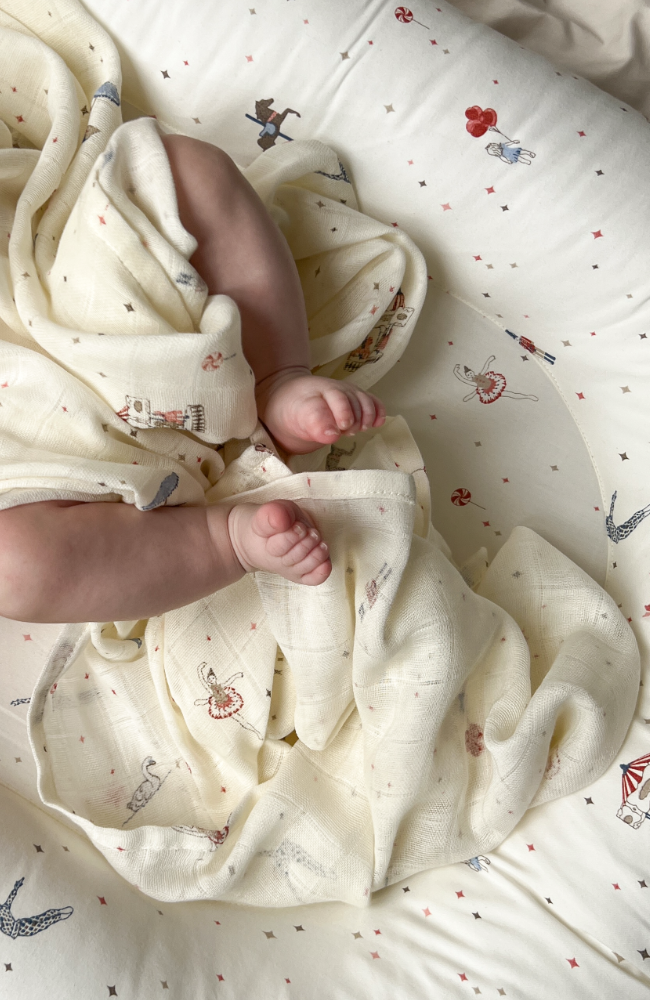 Muslin Cloth 2 pack - Carousel