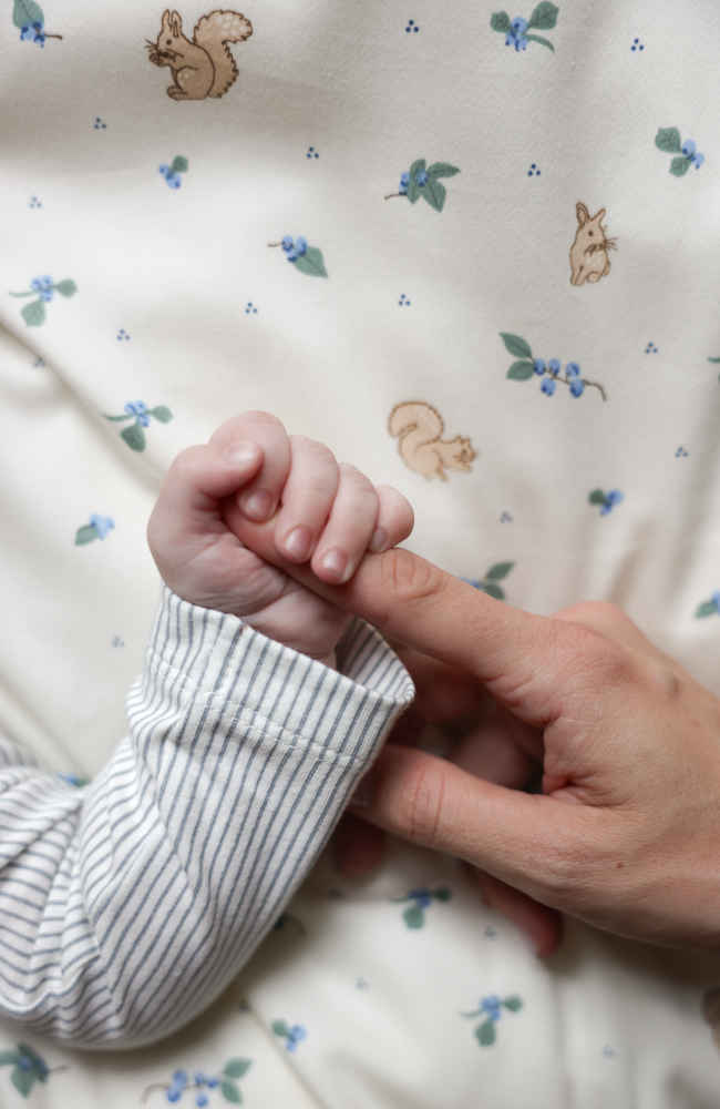 Bedding - Blueberries