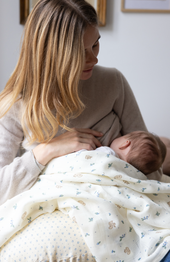 Muslin Cloth 2 pack - Blueberries