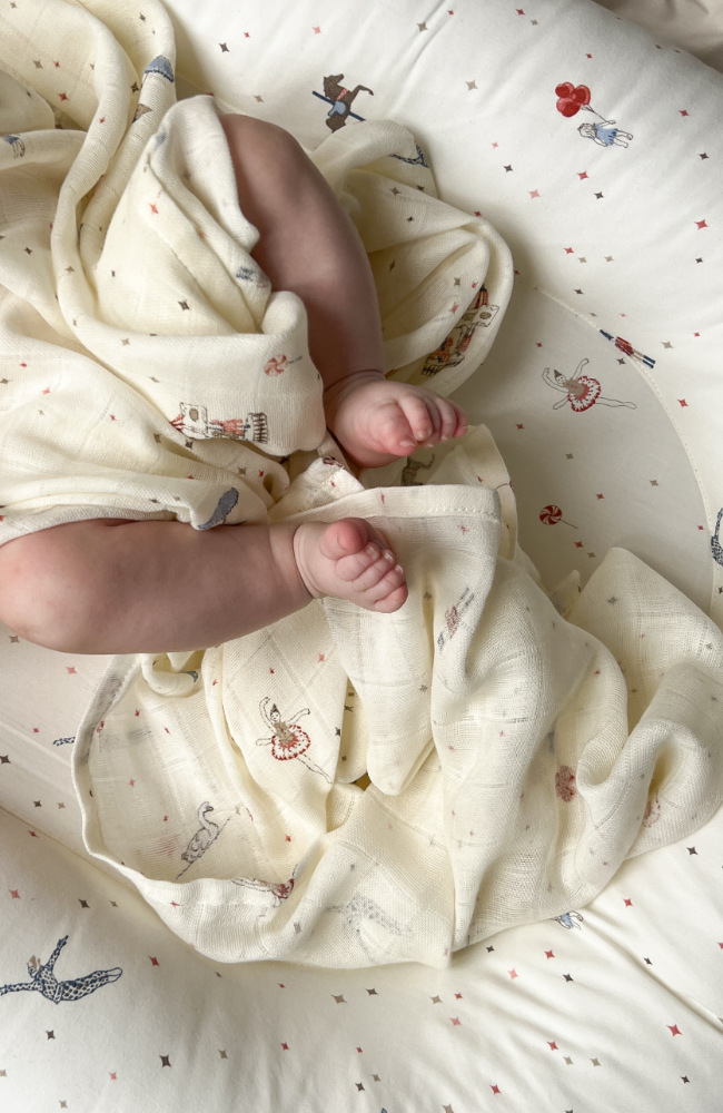 Muslin Cloth 3 Pack - Mix Carousel