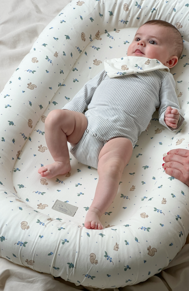 Baby Nest - Blueberries