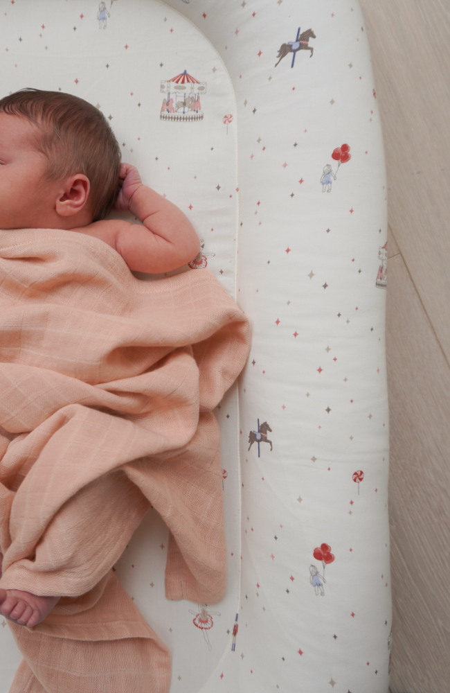 Baby Nest - Carousel