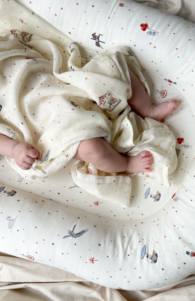 Baby Nest - Carousel