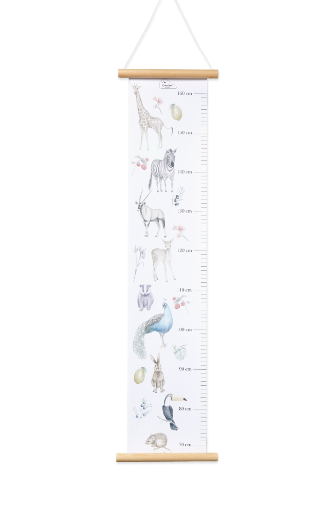 Height Chart - Mixed Colors