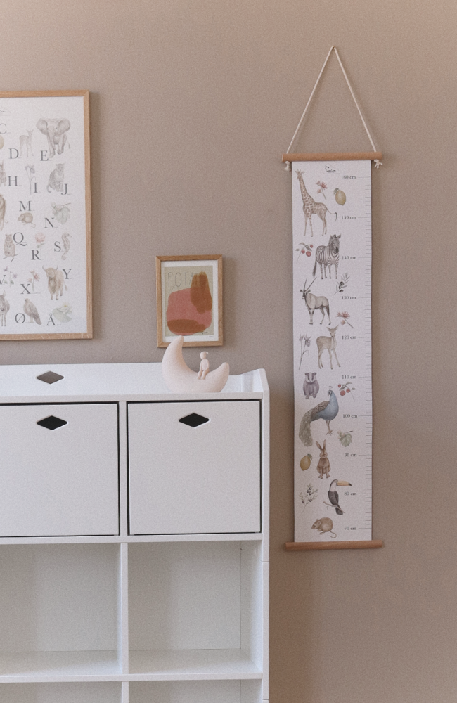 Height Chart - Mixed Colors