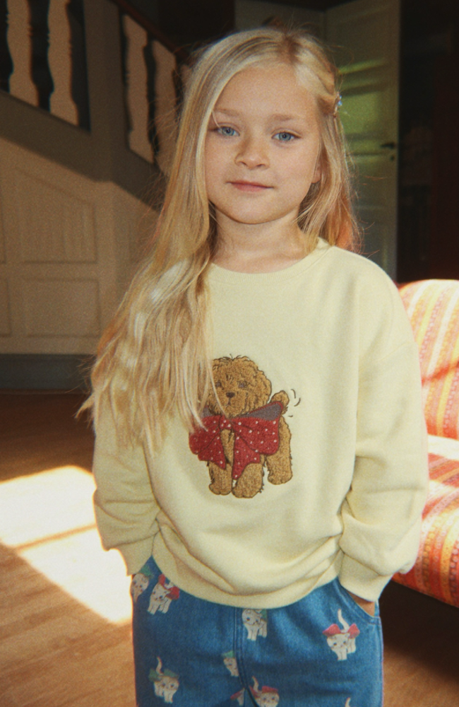 4 Pack Cats And Dogs Hair Clip - Multi