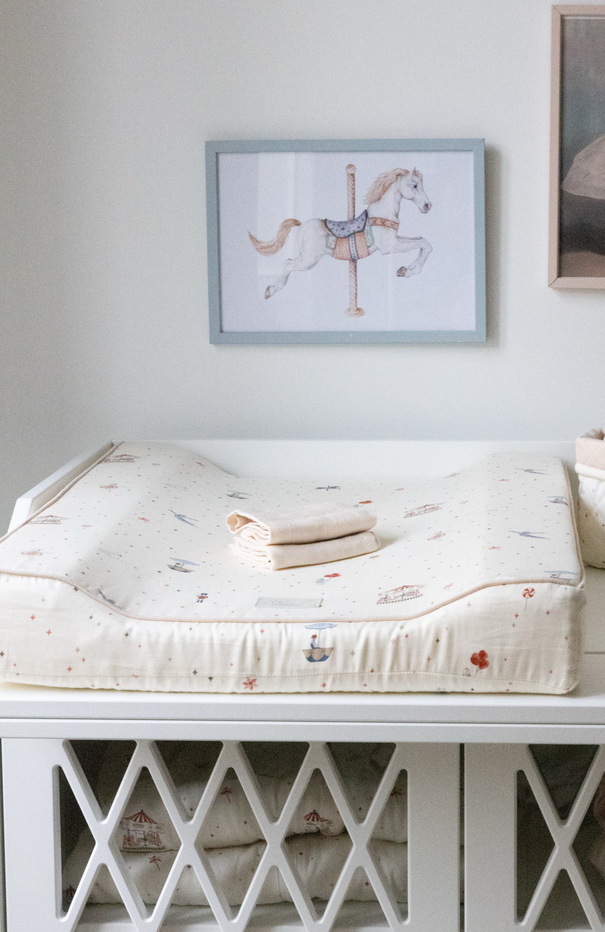 Changing Cushion - Carousel