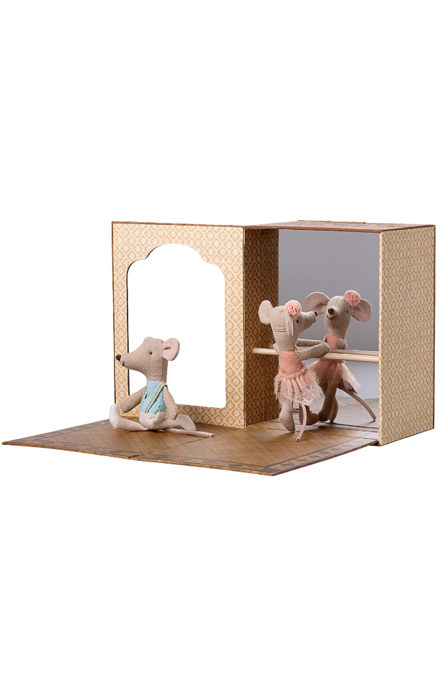 Ballet Mice In Dance Studio - Little Sister And Brother