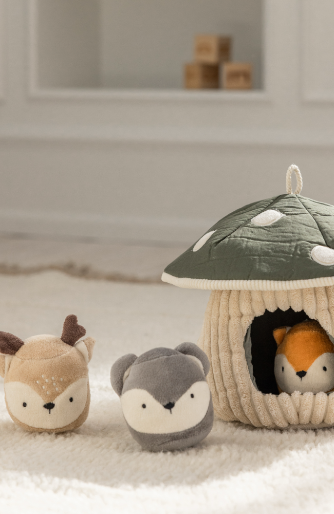 Activity Toy - Hide And Seek