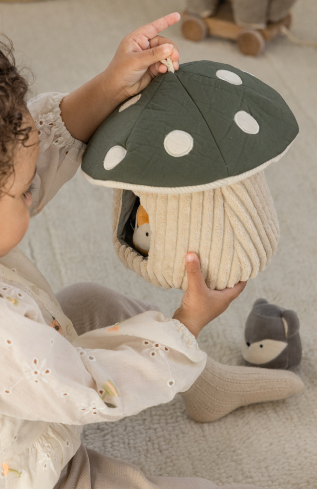 Activity Toy - Hide And Seek
