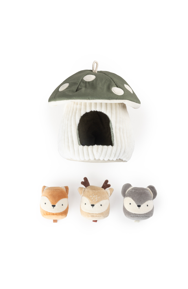 Activity Toy - Hide And Seek