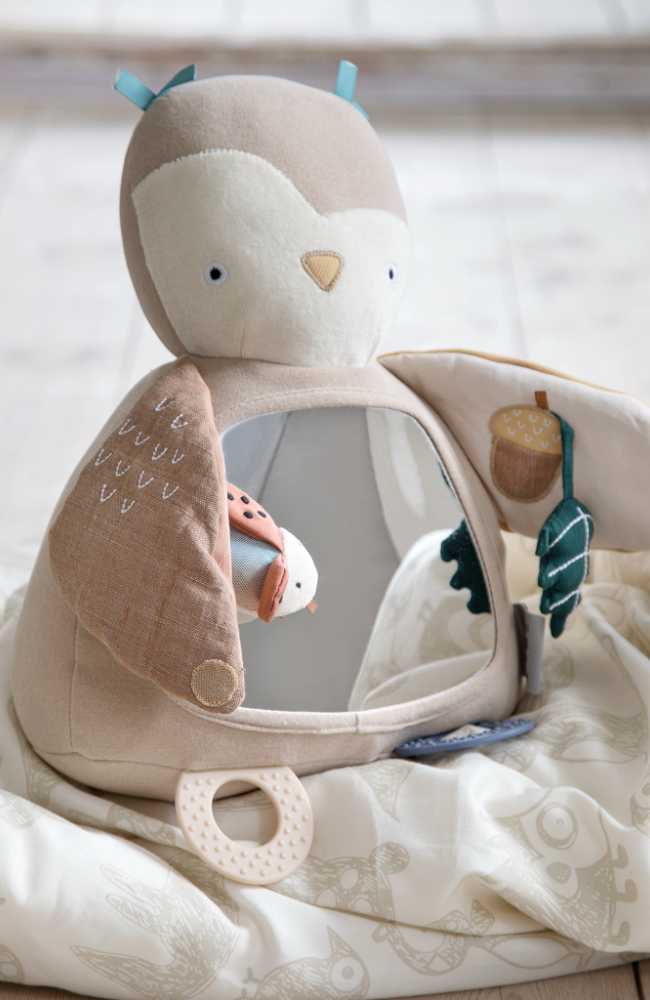 Activity Toy - Blinky The Owl