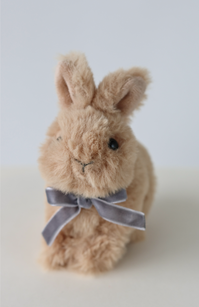 Baby Animals - Bunny Brown
